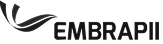 Ecossitema da IRede